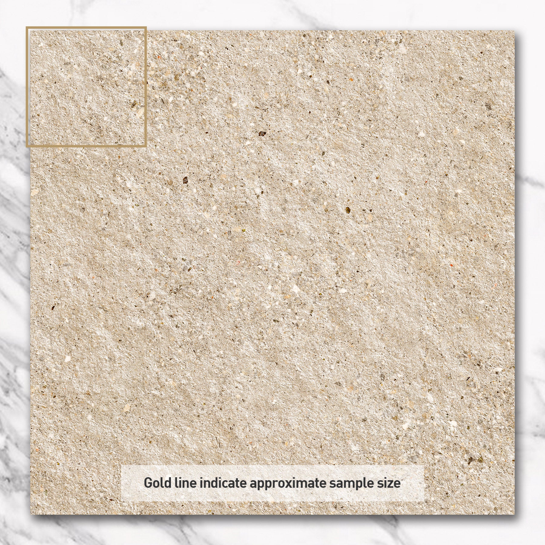 Atlanta White 600x600x20 Outdoor Porcelain Paver Tile
