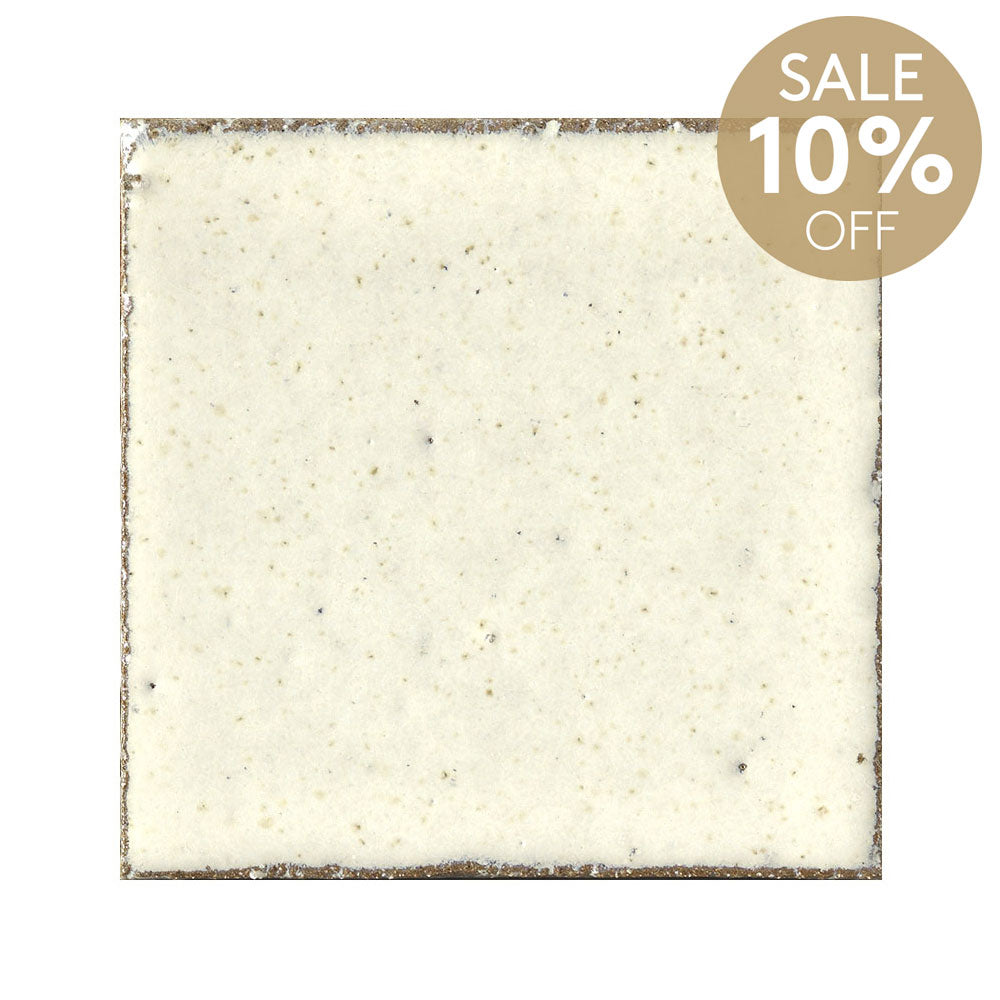 Havana Rustic White 100x100 Handmade Zellige Gloss Tile